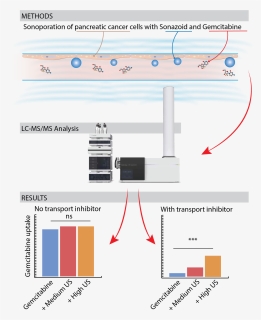 Diagram, HD Png Download, Free Download