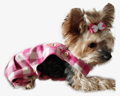 Pichi Fucsia A Cuadros Para Perros - Companion Dog, HD Png Download, Free Download
