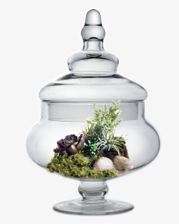 Glass Apothecary Jar H-10 - Sugar Bowl, HD Png Download, Free Download