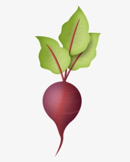 Free Png Download Radish Png Images Background Png - Radish Clipart Png, Transparent Png, Free Download