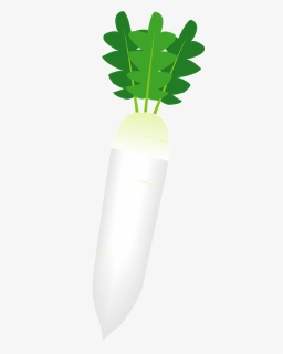 Daikon Radish Vegetable Clipart - Cylinder, HD Png Download, Free Download