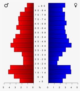 Population Pyramid Of Midland Tx, HD Png Download, Free Download