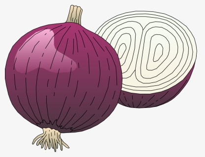 Free Vector Vegetables - Onion Clipart, HD Png Download, Free Download
