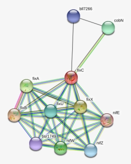 Fixc Protein - Circle, HD Png Download, Free Download