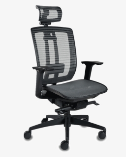 Full Mesh Office Chair Singapore, HD Png Download, Free Download