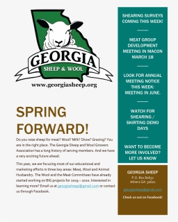 Georgia Sheep Events - Flyer, HD Png Download, Free Download