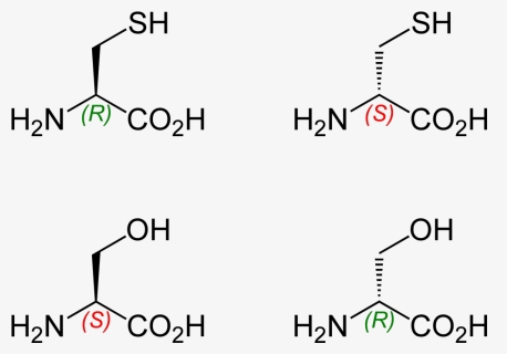 Cysteine And Serine Stereochemistry Compared 2d Skeletal - S Configuration Of Serine, HD Png Download, Free Download