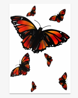Poster Borboletas De Fábio Franciscona - Papilio, HD Png Download, Free Download