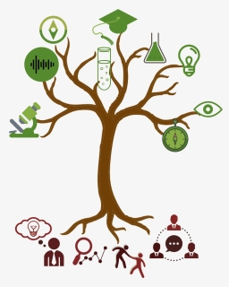 Smaple Image - Cartoon Tree Trunk Png, Transparent Png, Free Download