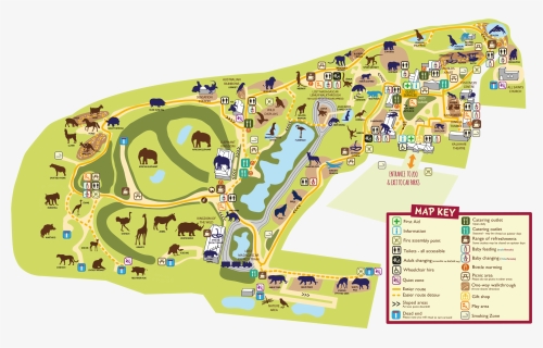 Colchester Zoo Map, HD Png Download, Free Download
