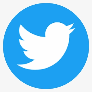 2019 Pro Exp Media Inc - Circle Twitter Logo Png, Transparent Png, Free Download