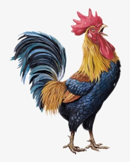 Stickers De Gallos, HD Png Download - kindpng