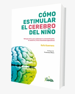 Estimular El Cerebro Del Niño, HD Png Download, Free Download