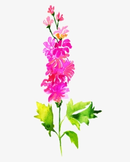 Delphinium, HD Png Download, Free Download