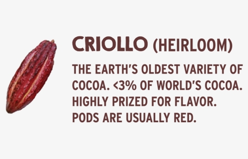 Cocoa-criollo - Sign, HD Png Download, Free Download