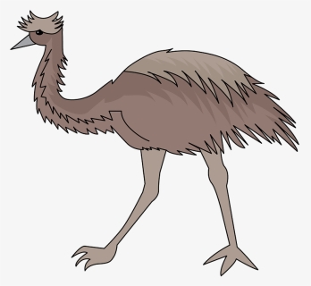 Emu Clipart - Ostrich, HD Png Download, Free Download