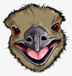Emu , Png Download - Cartoon, Transparent Png, Free Download