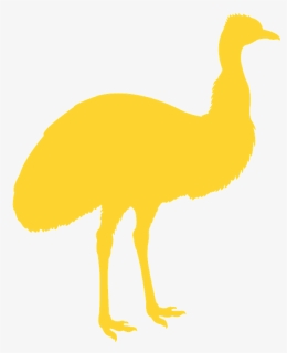 Flightless Bird, HD Png Download, Free Download