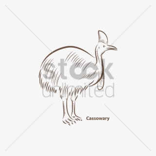 Cassowary Vector Image - Emu, HD Png Download, Free Download