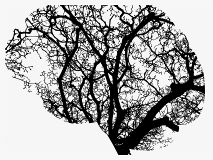 Brain Tree - Brain Tree Clip Art, HD Png Download, Free Download
