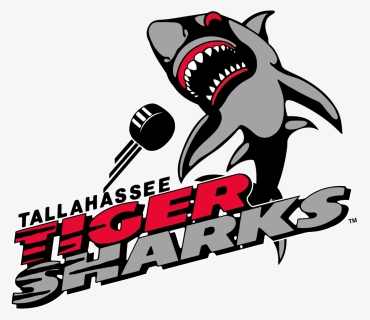 Tallahassee Tiger Sharks Pucks, HD Png Download, Free Download