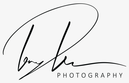 Prince Logo Png , Png Download - Png Prince Photography Logo Hd, Transparent Png, Free Download