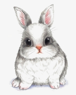 Cute Rabbit Drawing, HD Png Download, Free Download