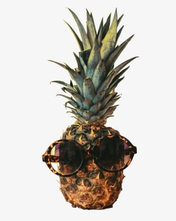Yeeeeeeeeeeeeeeet, HD Png Download, Free Download