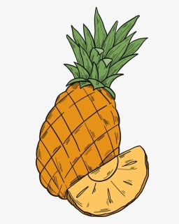 Pineapple Clipart - Pineapple, HD Png Download, Free Download