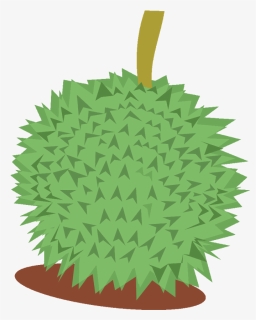 Transparent Durian Png - Portable Network Graphics, Png Download, Free Download