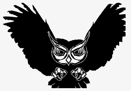 Transparent White Owl Png - Free Flying Owls Svg, Png Download, Free Download