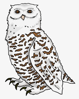 220 Snowy White Owl Stock Vector Illustration And Royalty - Owl, HD Png Download, Free Download