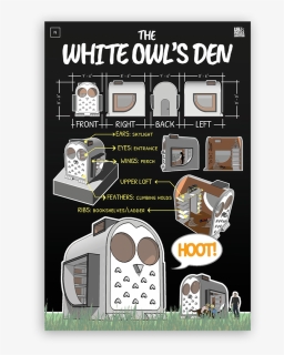 Picture - Flyer, HD Png Download, Free Download