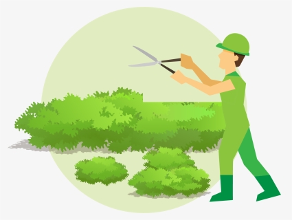Hedge Cutting Cartoon, HD Png Download, Free Download
