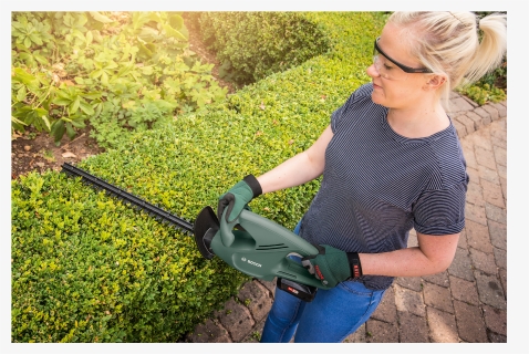 Lawn, HD Png Download, Free Download