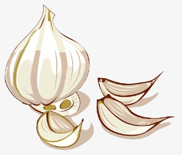 Food, Cartoon, Free, Garlic, Vegetables, Plant - Clove Of Garlic Clipart, HD Png Download, Free Download