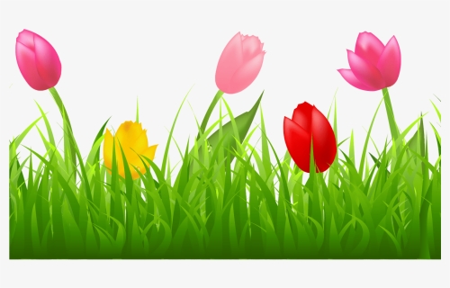 Grass With Colorful Tulips Png Clipart Spring Pinterest - Clipart Tulip, Transparent Png, Free Download