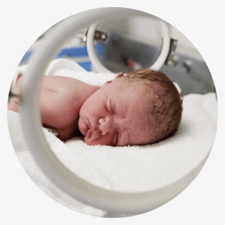 Baby In Incubator, HD Png Download, Free Download