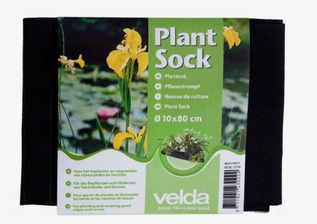 Transparent Water Plants Png - Velda Plant Socks 31.5, Png Download, Free Download