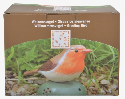 Welcome Birds Ass - European Robin, HD Png Download, Free Download