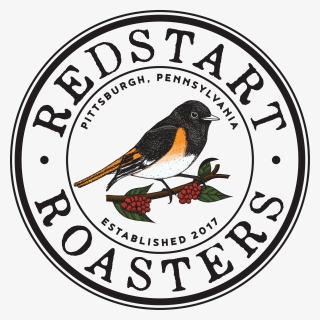 Redstart Roasters - Robin, HD Png Download, Free Download