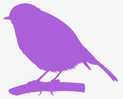Birds, HD Png Download, Free Download