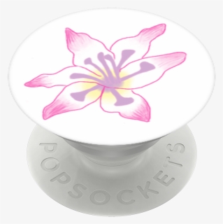 Gladiolus Flower, Popsockets - Lily, HD Png Download, Free Download