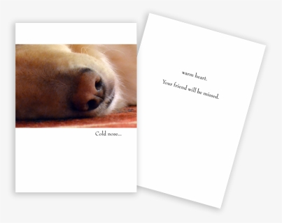Sympathy Card Dog Nose - Golden Retriever, HD Png Download, Free Download