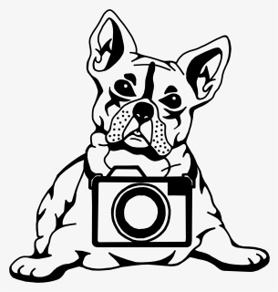 Wet Nose Studio - Companion Dog, HD Png Download, Free Download