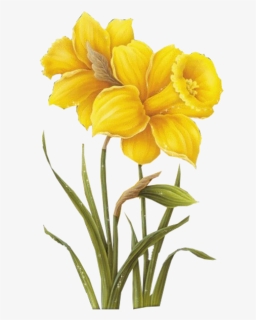 Yellow Flower Drawing, HD Png Download, Free Download