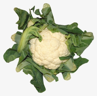 Cauliflower, HD Png Download, Free Download
