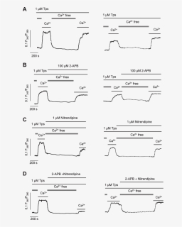 Diagram, HD Png Download, Free Download