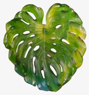 Monstera Large Wall Leaf , Png Download - Swiss Cheese Plant, Transparent Png, Free Download