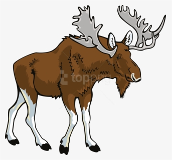 Download Moose Png Images Background - Moose Clipart Png, Transparent Png, Free Download